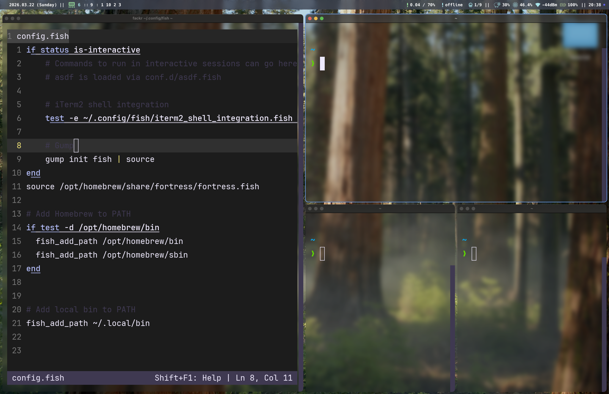 tarmac BSP layout — four windows arranged in a binary space partition tree with gaps and borders on macOS