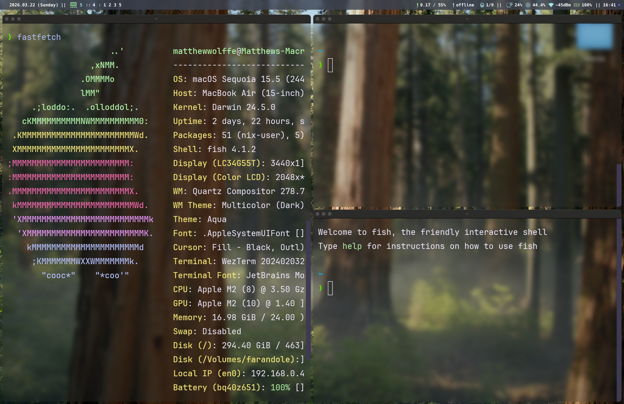 tarmac tiling window manager on macOS — BSP layout with gaps, borders, and multiple windows